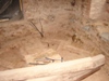 Schwammsanierung Schloß Hainewalde, Erneuerung von Holbalkendecke im Treppenhaus